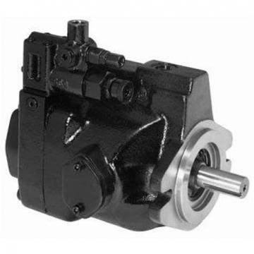 PAKER PAV6.3 Piston Pump